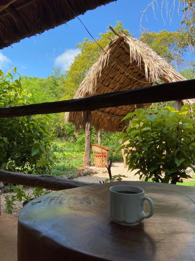 Encantadora Villa Maya Tradicional En Rancho Agroecologico Цукакаб Экстерьер фото