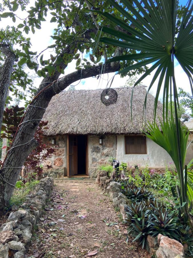 Encantadora Villa Maya Tradicional En Rancho Agroecologico Цукакаб Экстерьер фото