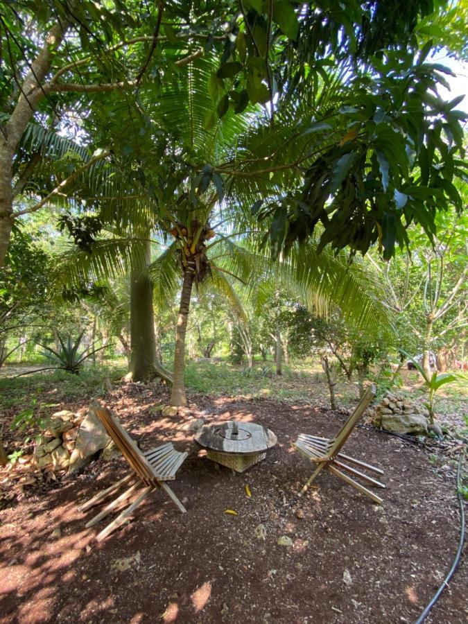 Encantadora Villa Maya Tradicional En Rancho Agroecologico Цукакаб Экстерьер фото