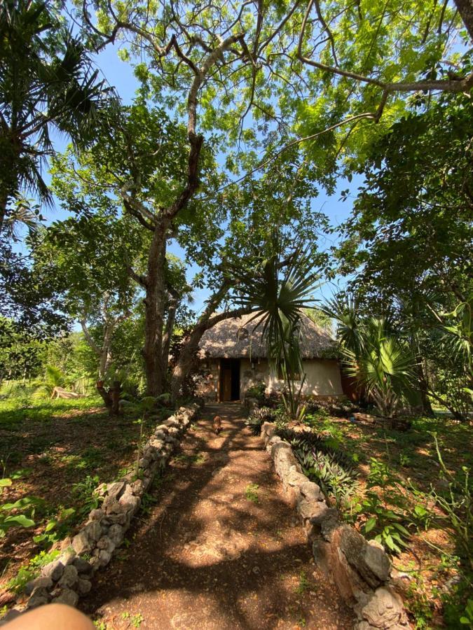 Encantadora Villa Maya Tradicional En Rancho Agroecologico Цукакаб Экстерьер фото