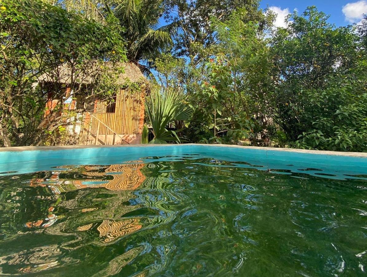 Encantadora Villa Maya Tradicional En Rancho Agroecologico Цукакаб Экстерьер фото