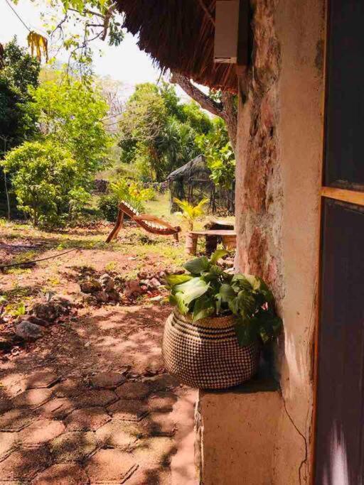 Encantadora Villa Maya Tradicional En Rancho Agroecologico Цукакаб Экстерьер фото