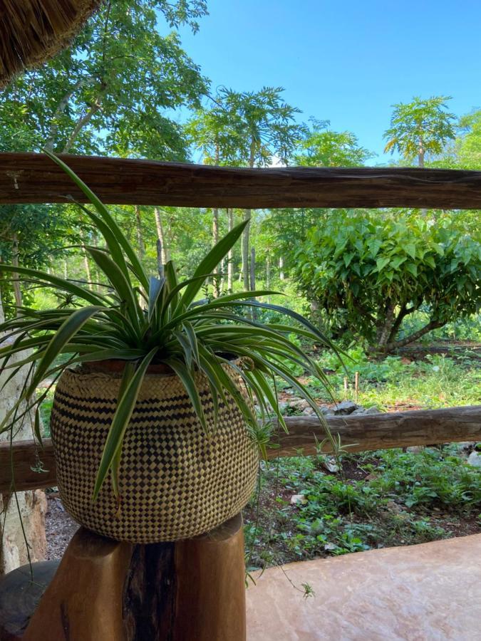 Encantadora Villa Maya Tradicional En Rancho Agroecologico Цукакаб Экстерьер фото