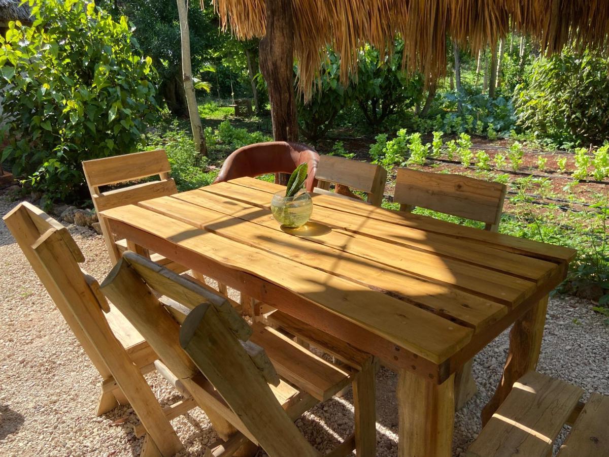 Encantadora Villa Maya Tradicional En Rancho Agroecologico Цукакаб Экстерьер фото